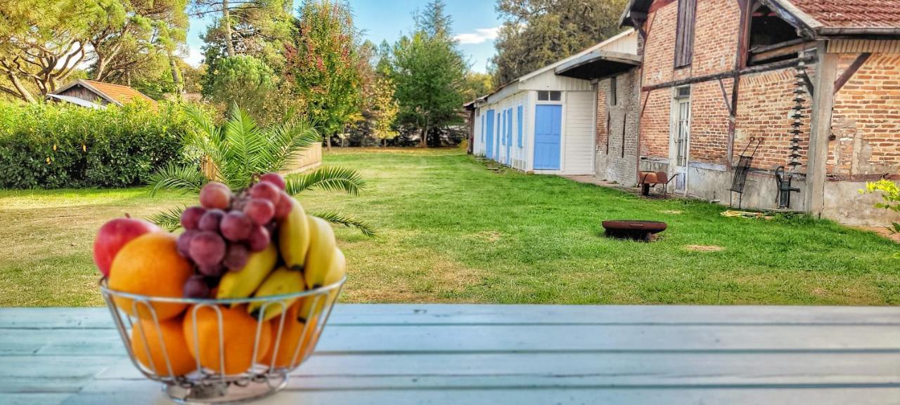 Charmante Maison Dans Les Landes X 10 Avec Piscine Et Salle D Escalade Lue Eksteriør bilde
