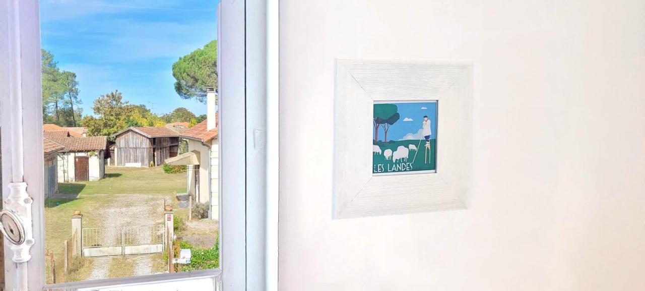 Charmante Maison Dans Les Landes X 10 Avec Piscine Et Salle D Escalade Lue Eksteriør bilde